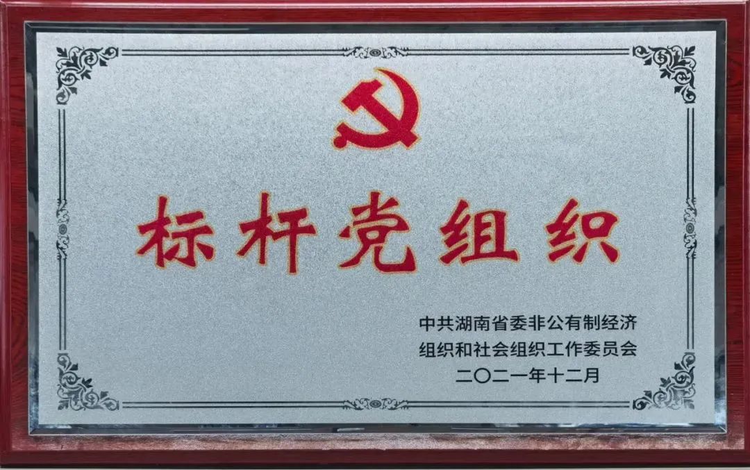 党建品牌亮起来！山河智能党委获评“标杆党组织”